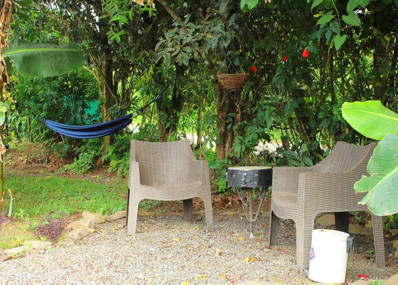 Casa Jungle Monteverde B&B Exterior foto